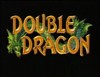 Double_Dragon_001.jpg