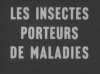 insectes_porteurs_maladie_01.jpg