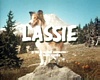 lassie01.jpg