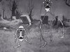 the_skeleton_dance-18.jpg