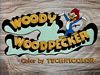 woody-woodpecker-02.jpg